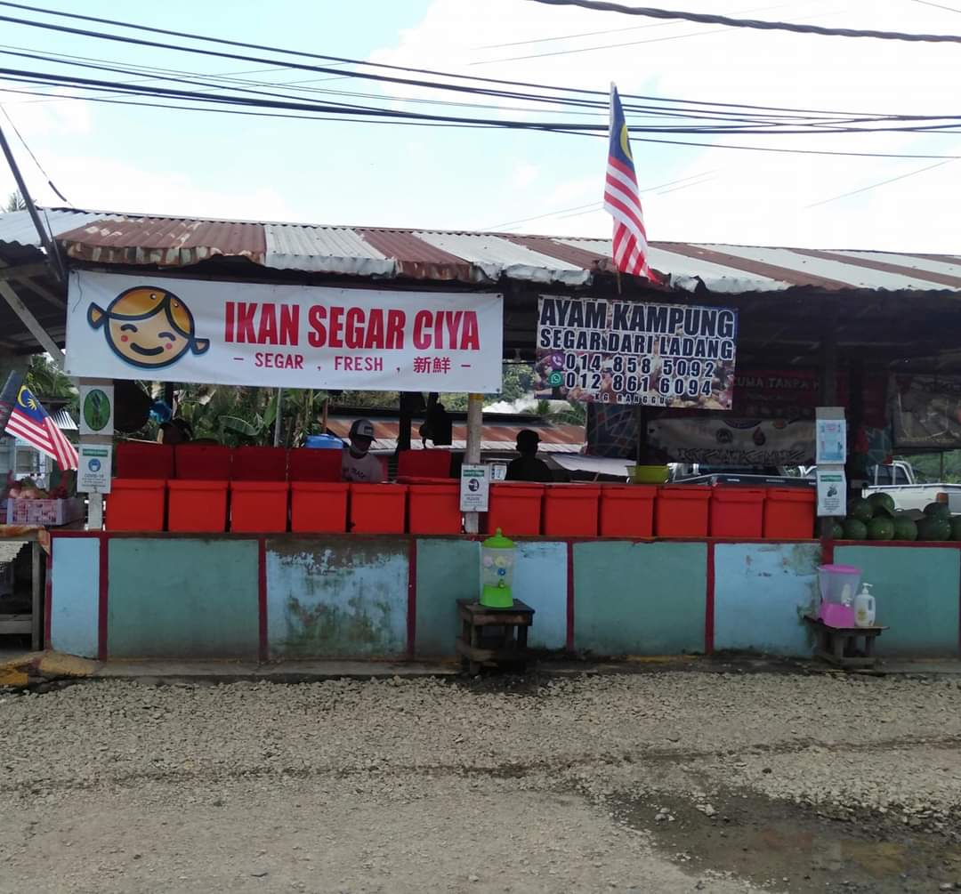 Ikan Segar Ciya