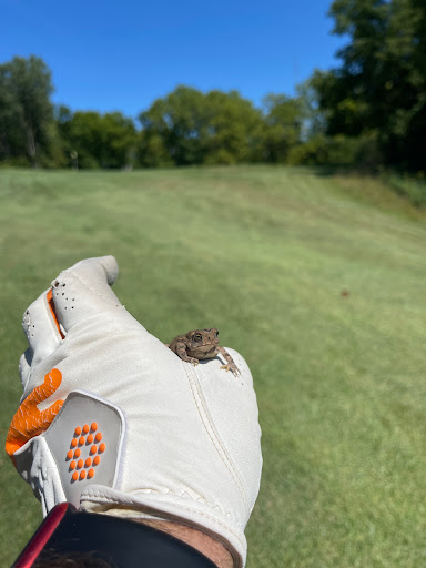 Park «Rouge Park», reviews and photos, Joy Rd, Detroit, MI 48228, USA