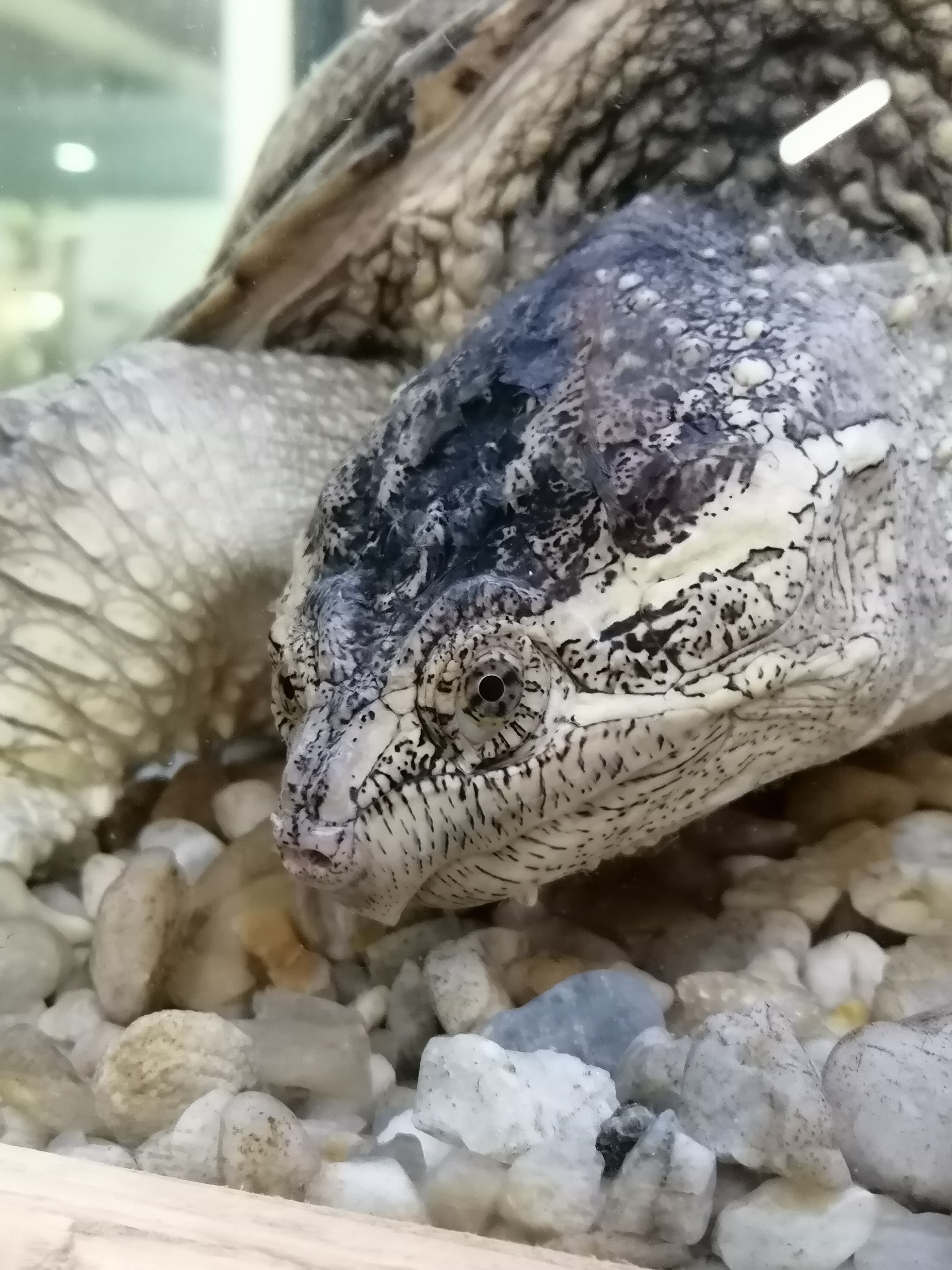 Photo n° 4 de l'avis de Eva.O fait le 24/04/2022 à 13:20