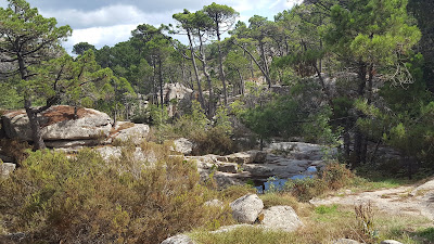 Corsica Mountain Quad à Porto-Vecchio
