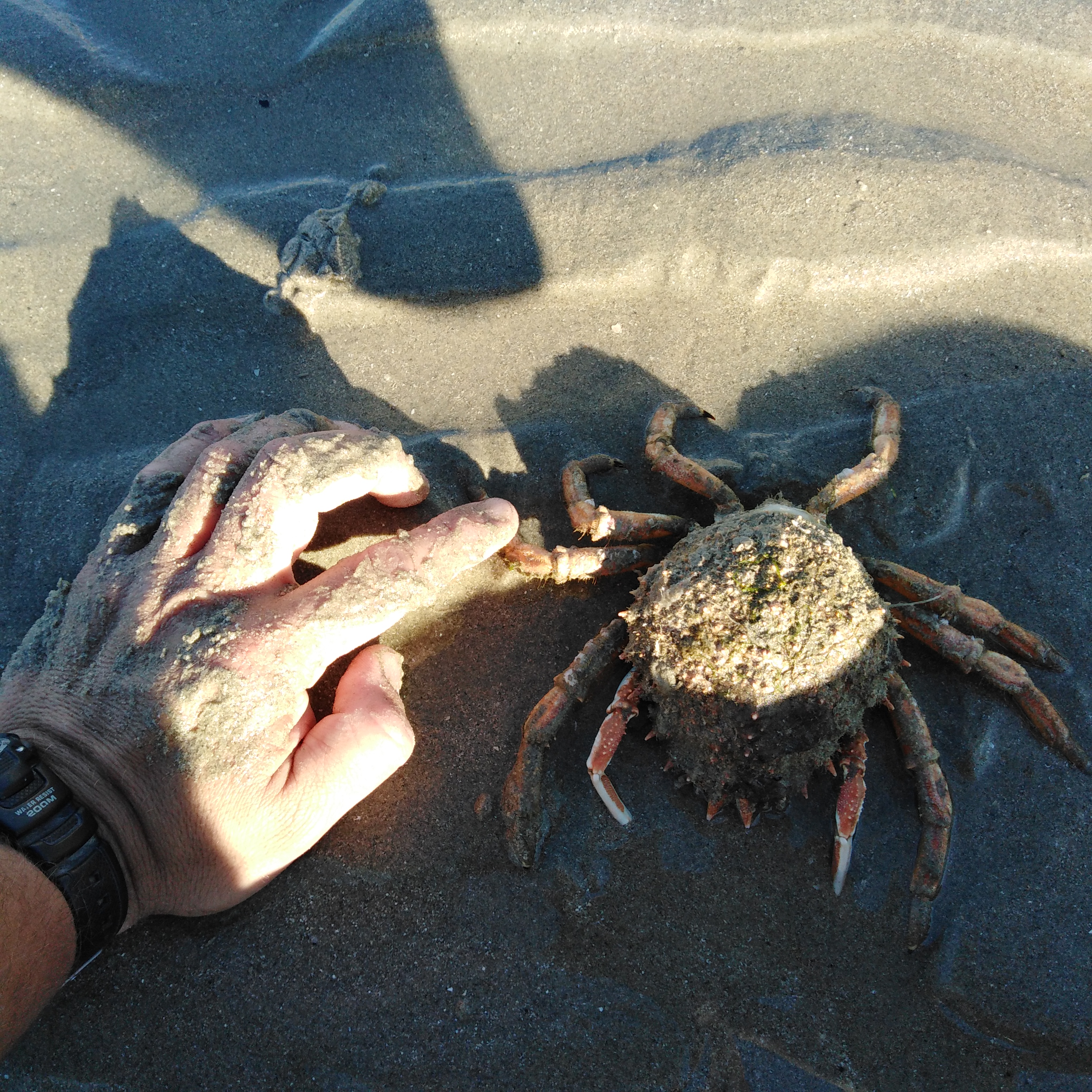 Photo n° 10 de l'avis de Vladimir.a fait le 05/07/2019 à 15:58