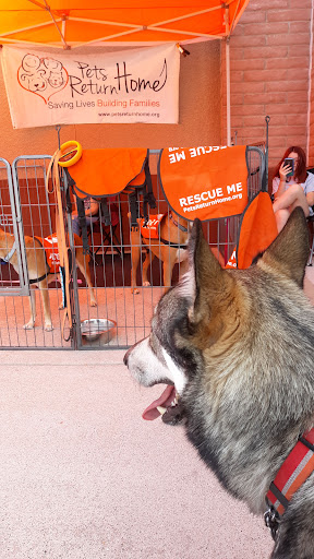 Pet Supply Store «PetSmart», reviews and photos, 2356 W State Rte 89A, Sedona, AZ 86336, USA