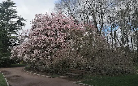 Saint Mary Park of Nancy image