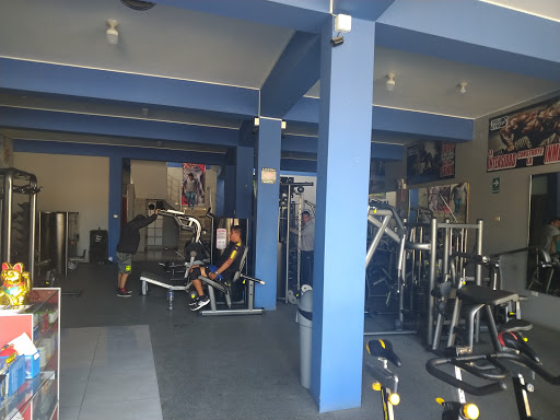 muscle & fitnes gym