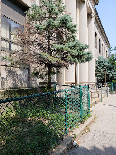 Post Office «United States Postal Service», reviews and photos, 4602 21st St, Long Island City, NY 11101, USA