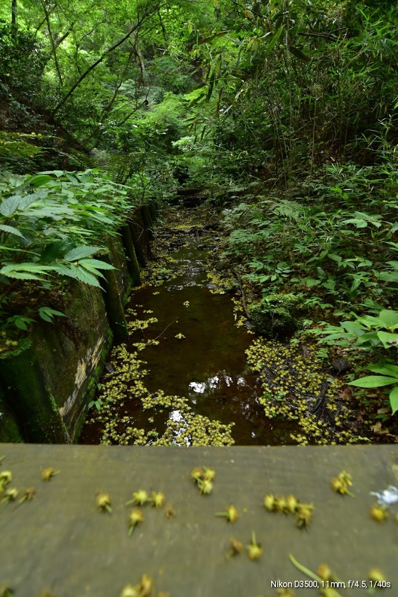 東北大学植物園 宮城県仙台市青葉区川内 植物園 グルコミ