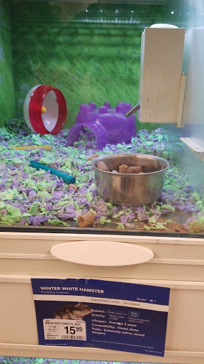 Pet Supply Store «Petco Animal Supplies», reviews and photos, 600 N Galleria Dr, Middletown, NY 10941, USA