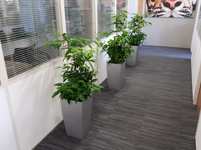 Lande - rostliny do kanceláří
