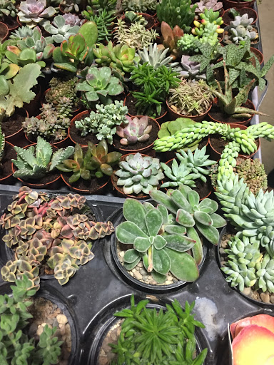 Florist «Bates Flowers by DZyne», reviews and photos, 813 4th Ave, Grinnell, IA 50112, USA