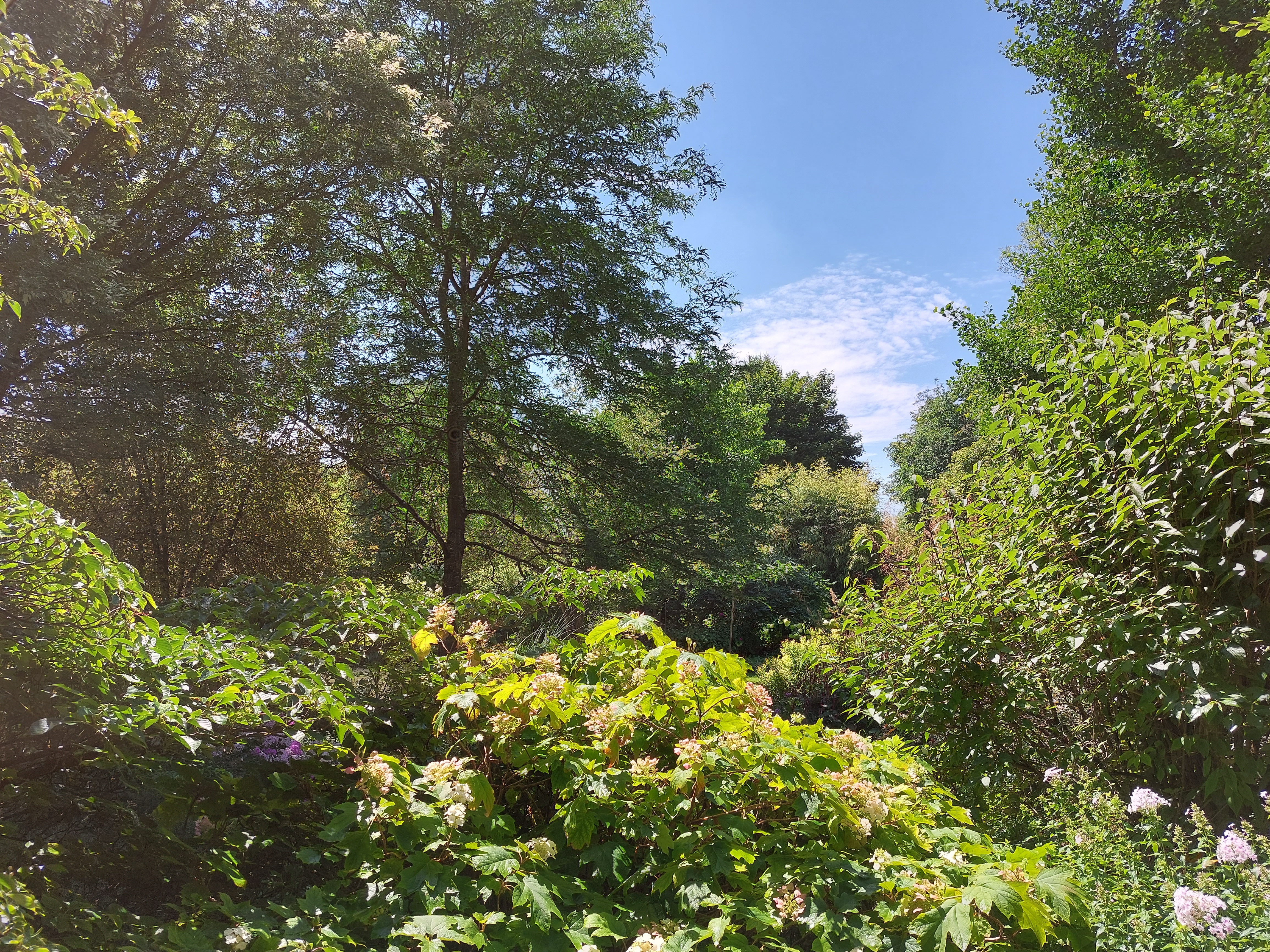 Photo n° 3 de l'avis de Bram.u fait le 29/07/2022 à 17:21