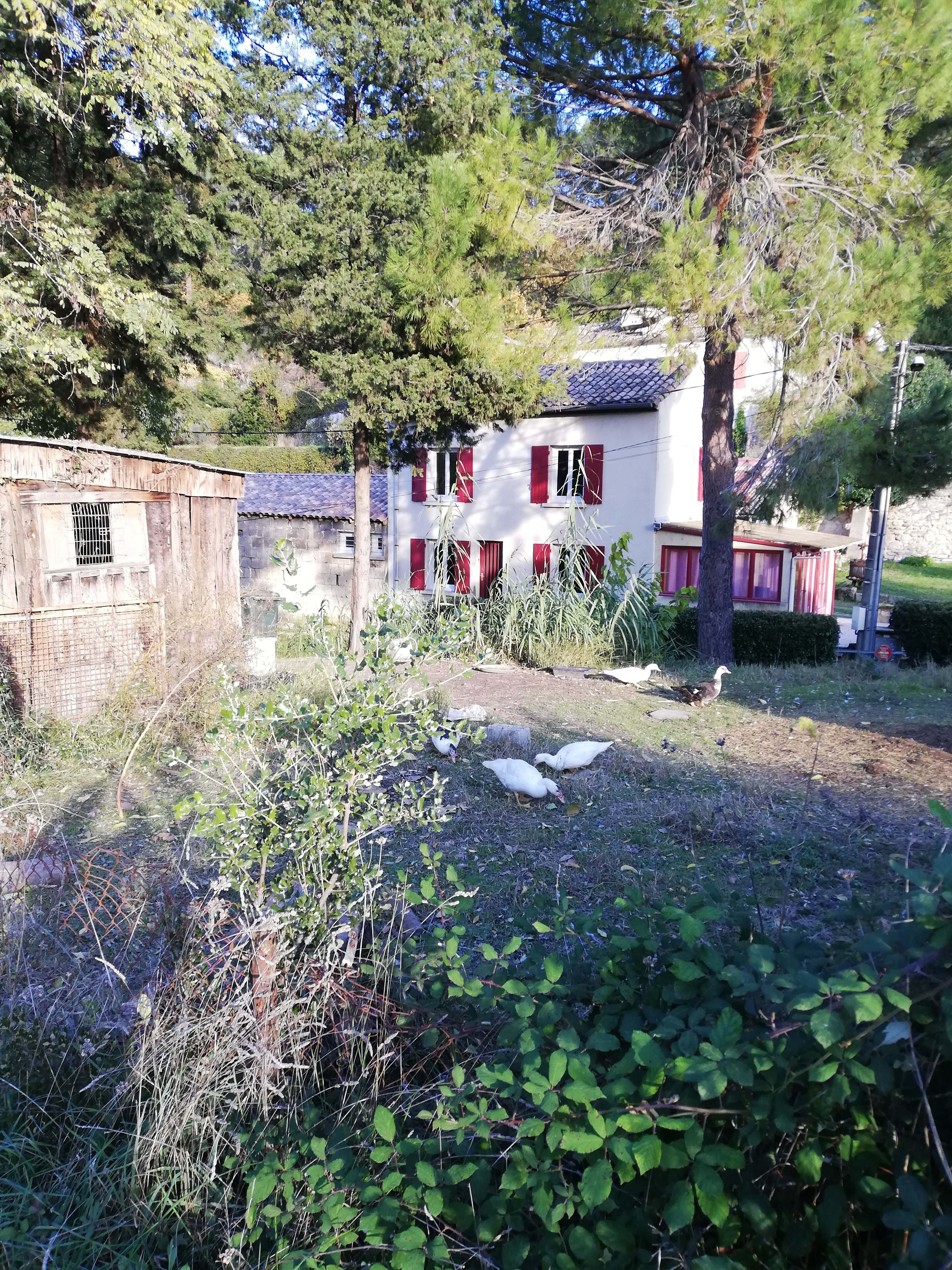 Photo n° 13 de l'avis de Oscéla.l fait le 23/11/2021 à 18:15