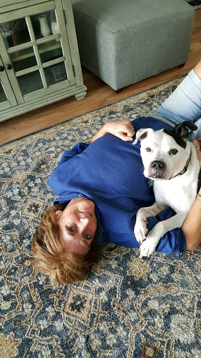 Animal Protection Organization «Butler County Humane Society», reviews and photos