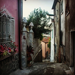 La Foglia Verde Via Fratelli Grassi, 10, 54100 Massa MS, Italia
