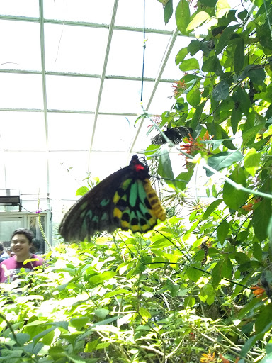 Zoo «Butterfly Habitat», reviews and photos, 1001 Fairgrounds Dr, Vallejo, CA 94589, USA