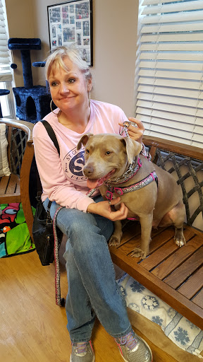 Boyd's Creek Animal Hospital image