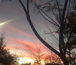 la Arboleda Garden photo