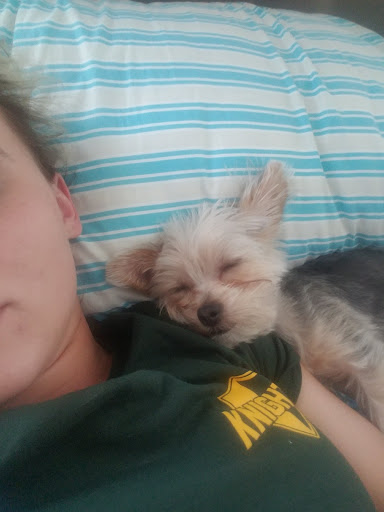 Pet Supply Store «PetSmart», reviews and photos, 1241 Point Mallard Pkwy, Decatur, AL 35601, USA