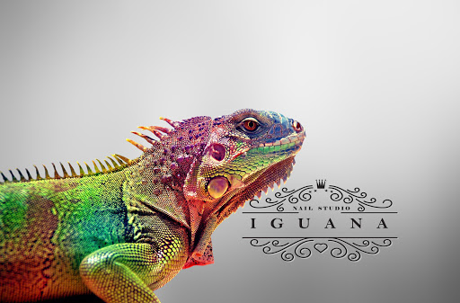Iguana Nail Studio