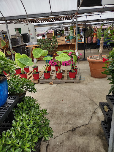 Plant Nursery «Blooming Acres», reviews and photos, 7561 State Rd, Wadsworth, OH 44281, USA