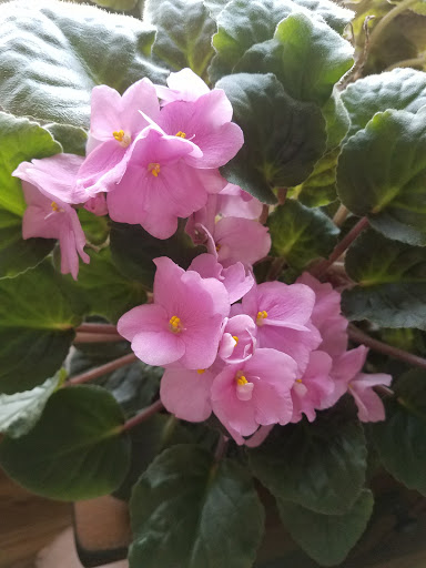 Memorial Park «E.B. Rains Jr. Memorial Park», reviews and photos, 11701 Community Center Dr, Northglenn, CO 80233, USA