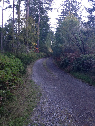 Gift Shop «Cove Crystal Shop», reviews and photos, 510 SE Old Arcadia Rd, Shelton, WA 98584, USA