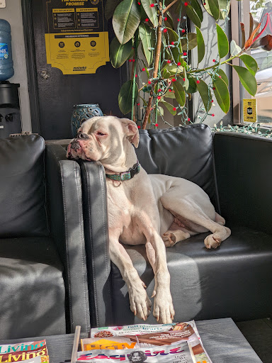 Auto Repair Shop «Meineke Car Care Center», reviews and photos, 815 N Easton Rd, Doylestown, PA 18902, USA