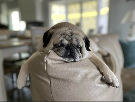 Used Car Dealer «Silverdale Auto Sales II», reviews and photos, 1003 Bethlehem Pike, Sellersville, PA 18960, USA