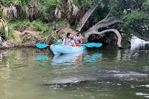 Cocoa Kayaking (Kayak & Paddleboard Tours!) image