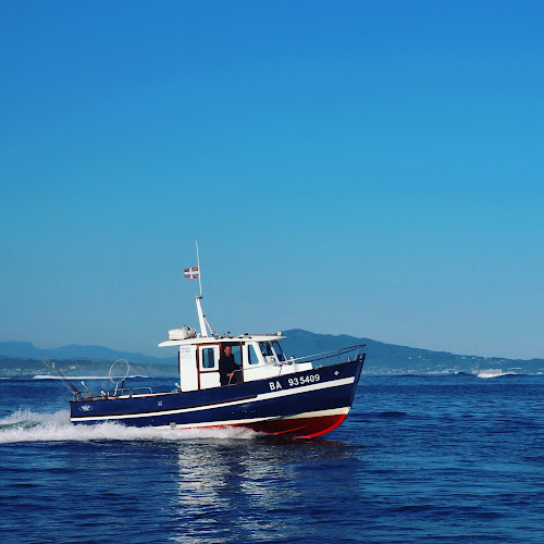 Agence d'excursions en bateau Baltxan Bidart