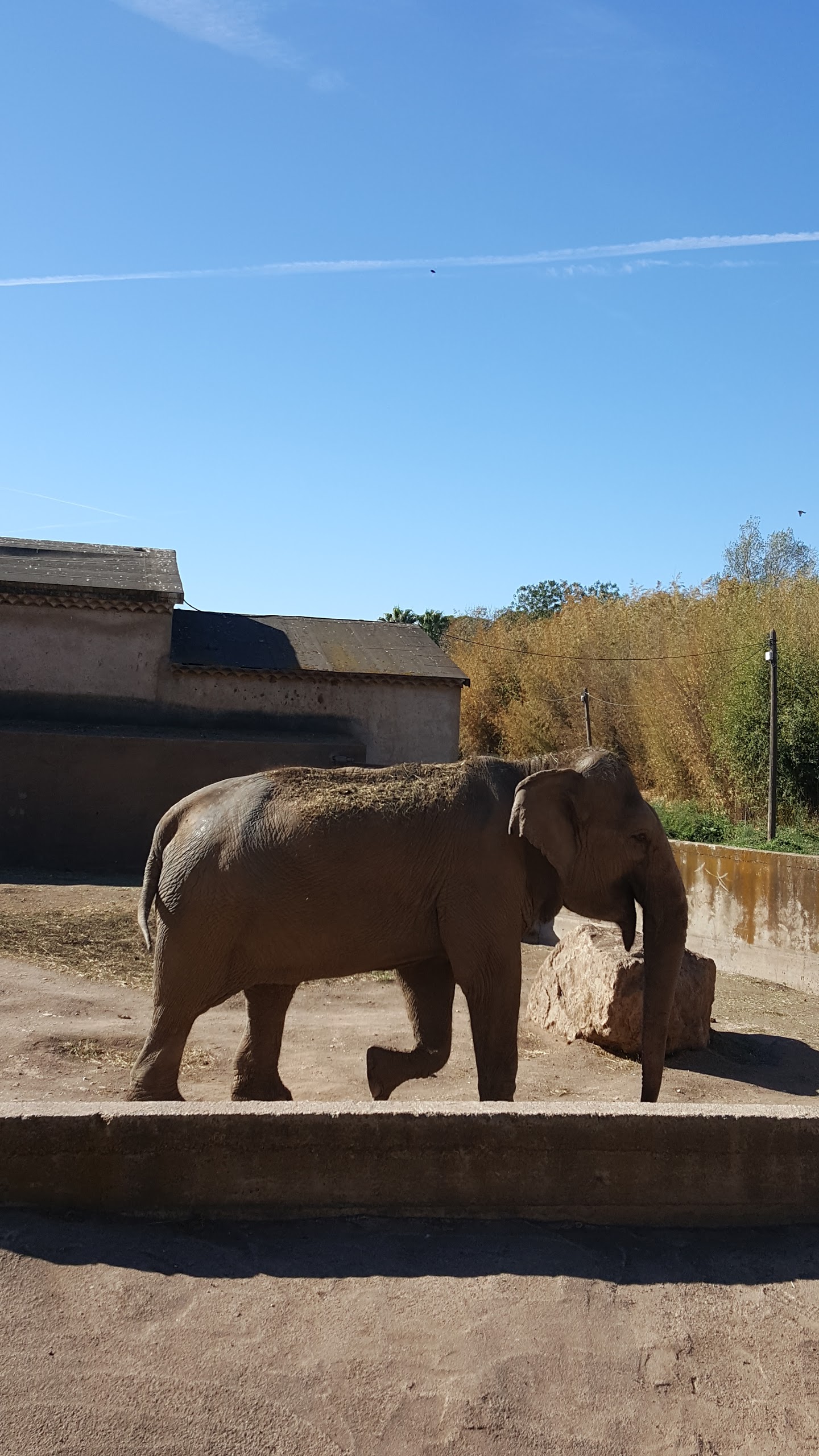 Photo n° 4 de l'avis de Jessica.U fait le 23/10/2017 à 16:20