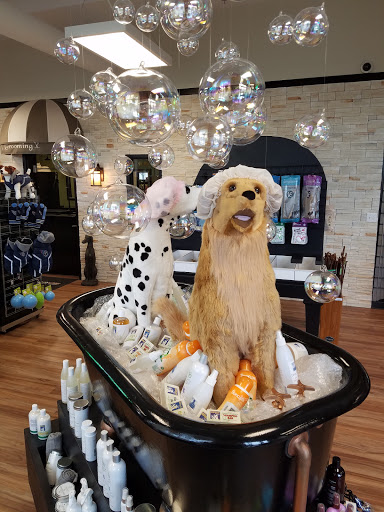 Pet Supply Store «EarthWise Pet Nashville-SoBro», reviews and photos, 66 Hermitage Ave, Nashville, TN 37210, USA