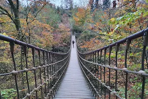 Hängebrücke im Binger Wald image