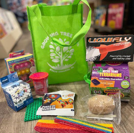 Gift Shop «Growing Tree Toys», reviews and photos, 202 S Allen St, State College, PA 16801, USA