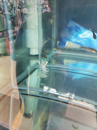 Pet Supply Store «Petco Animal Supplies», reviews and photos, 1 US-46, Totowa, NJ 07512, USA