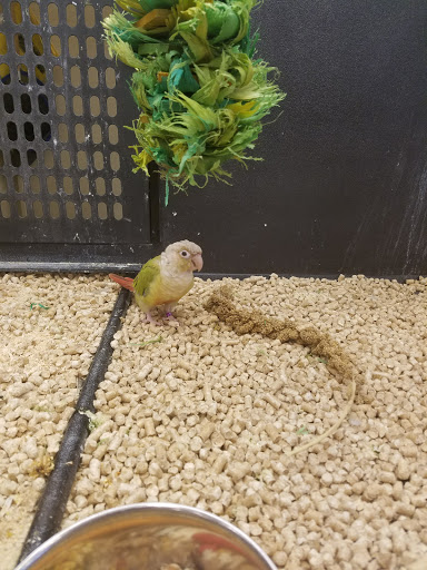 Pet Supply Store «PetSmart», reviews and photos, 8500 N Evanston Ave, Kansas City, MO 64157, USA