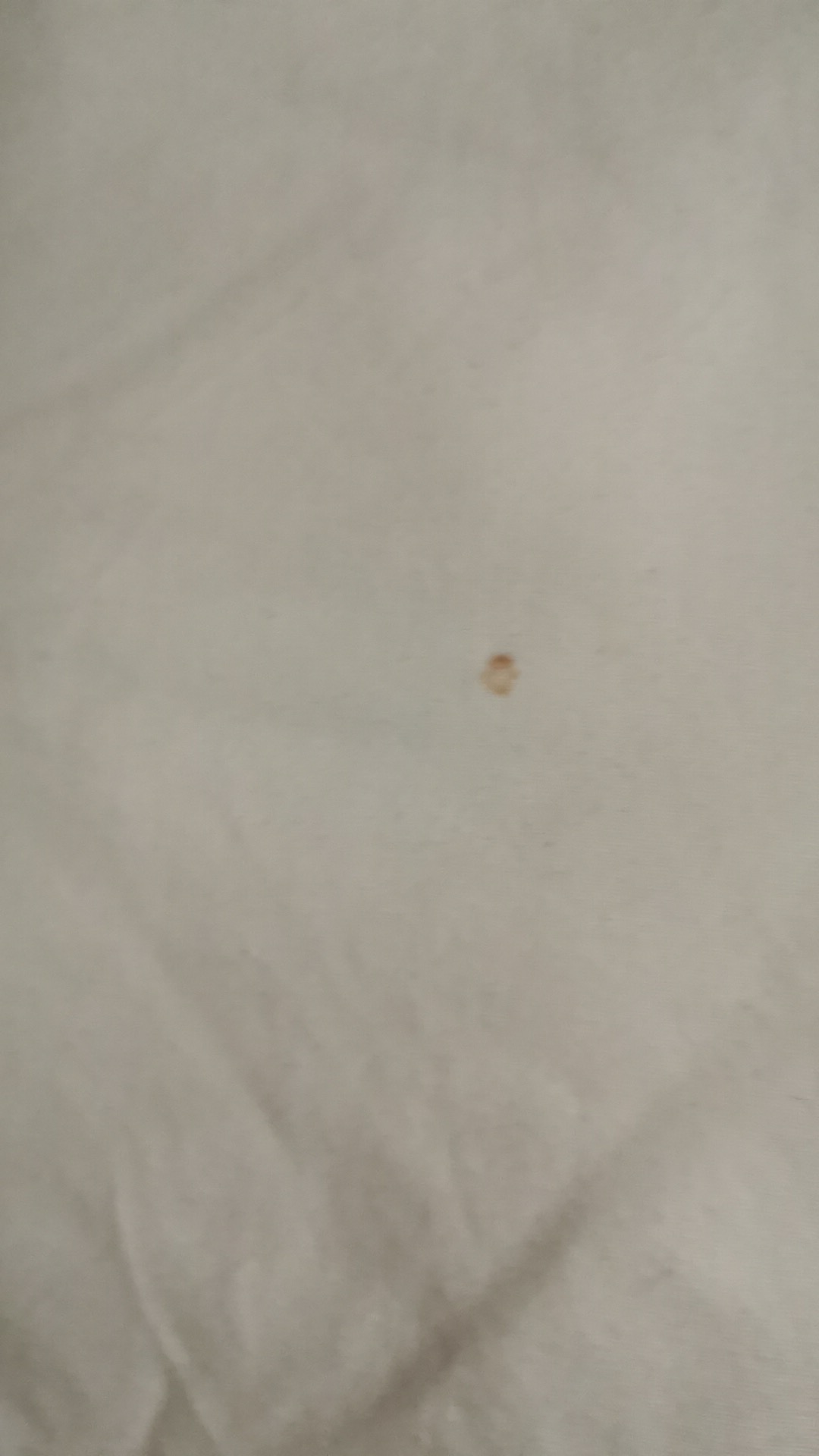 Photo n° 1 de l'avis de O. fait le 02/10/2019 à 07:22