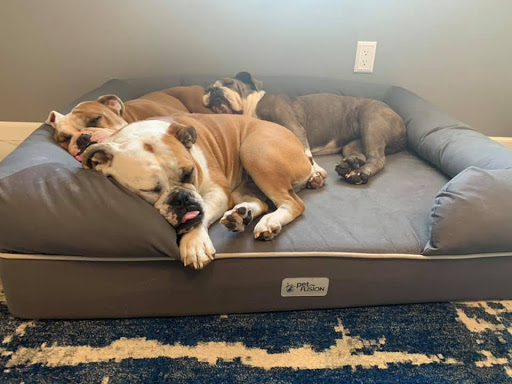 Insurance Agency «Lesa Yoho - State Farm Insurance Agent», reviews and photos