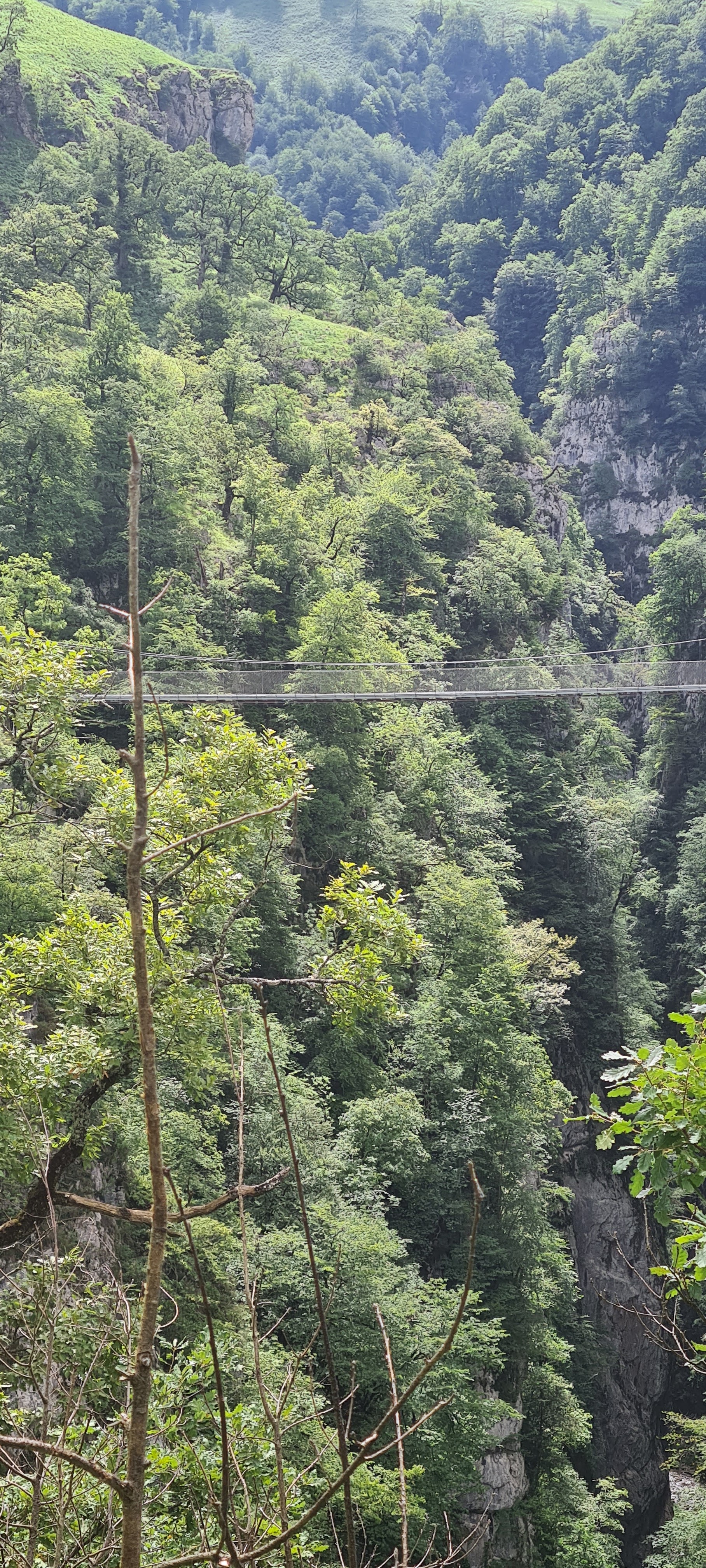 Photo n° 5 de l'avis de Nat.a fait le 02/07/2022 à 13:43