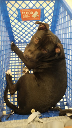 Clothing Store «Ross Dress for Less», reviews and photos, 1985 W Malvern Ave, Fullerton, CA 92833, USA