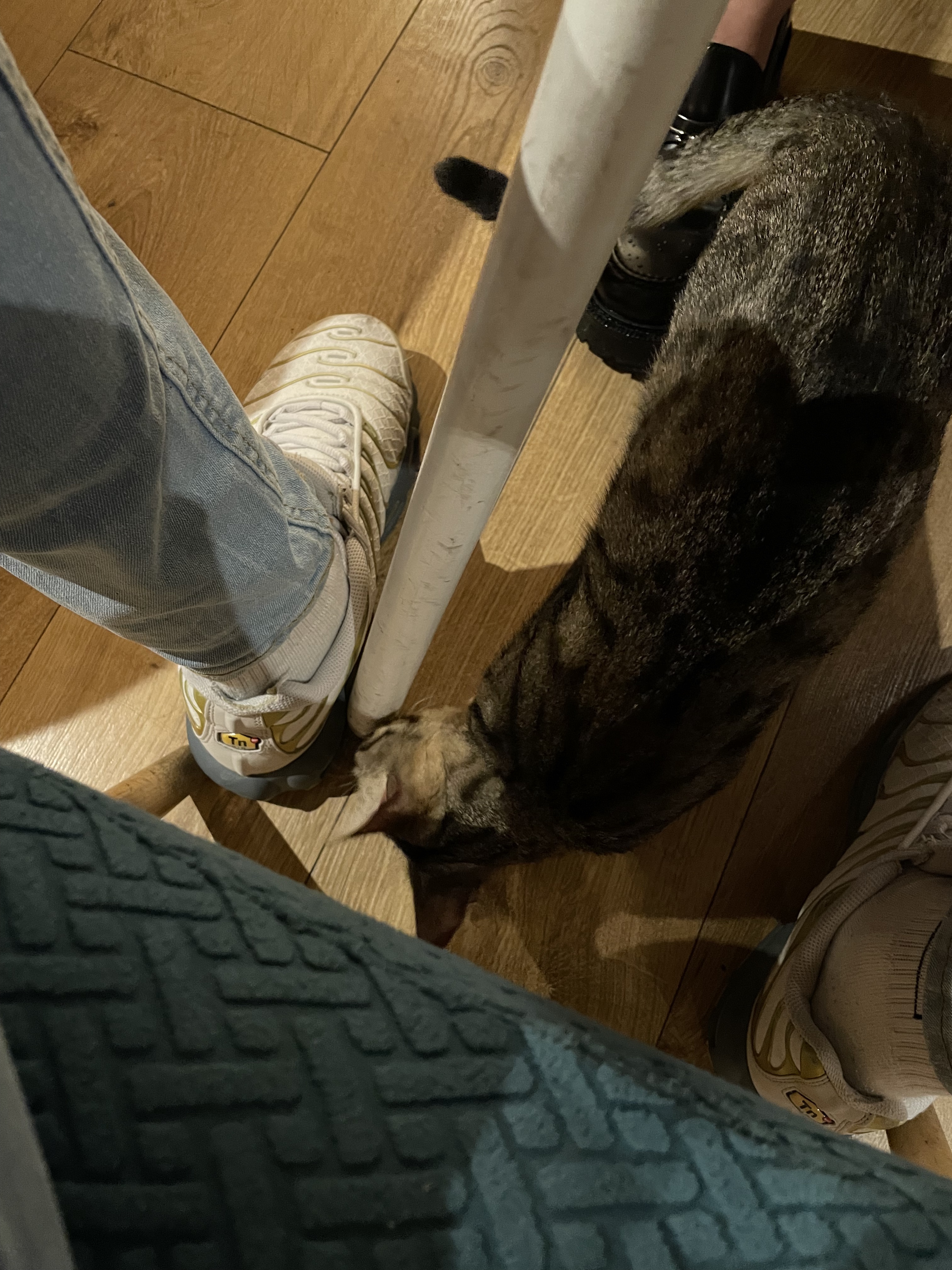 Photo n° 2 de l'avis de Max. fait le 16/11/2022 à 14:55