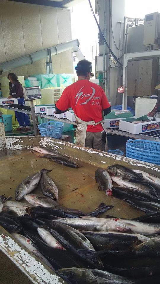 船橋港 千葉県船橋市浜町 道路 港湾 運河技術者協会 グルコミ