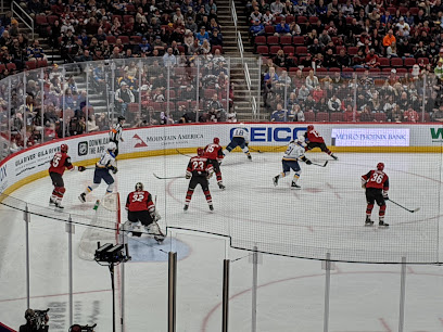 Arizona Coyotes Hockey Club