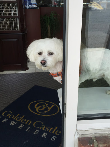 Jewelry Store «Golden Castle Jewelers», reviews and photos, 21 Center St, Sparta Township, NJ 07871, USA