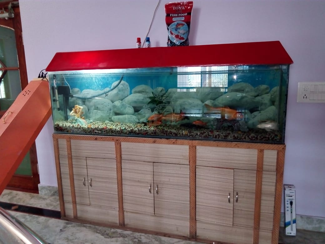 Dashmesh Fish Aquarium