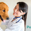 PetsVet Veterinary Hospital