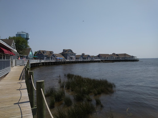 Pet Supply Store «Outer Barks - Water Front Shops», reviews and photos, 1240 Duck Rd, Duck, NC 27949, USA