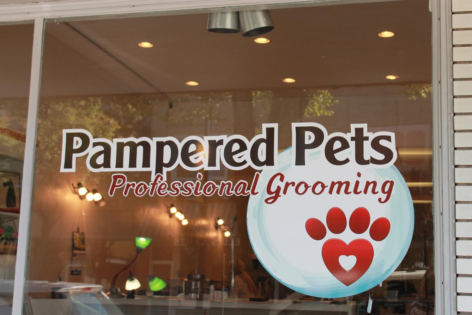 Precision Pet Grooming Boutique