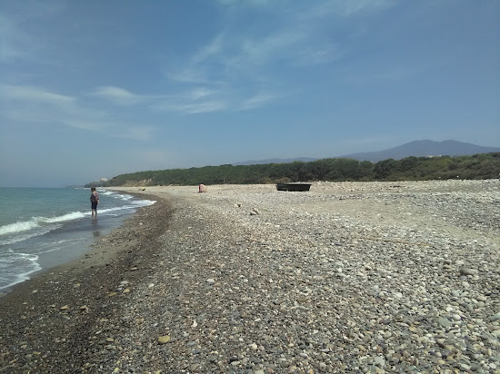 Nemo beach