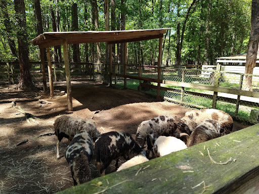 Zoo «Waccatee Zoological Farm», reviews and photos, 8500 Enterprise Rd, Myrtle Beach, SC 29588, USA