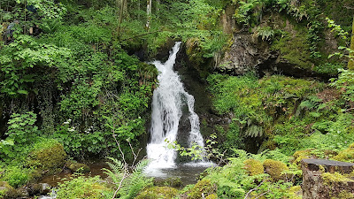 Cascade du Bubalafels à Moosch